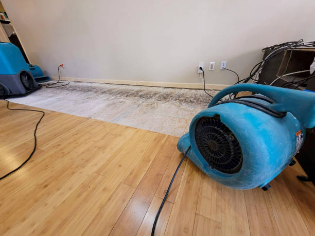 Professional Water Extraction technician working in El Monte, CA